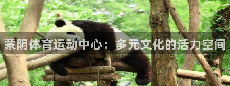 三亿体育登录：蒙阴体育运动中心：多元文化的活力空间