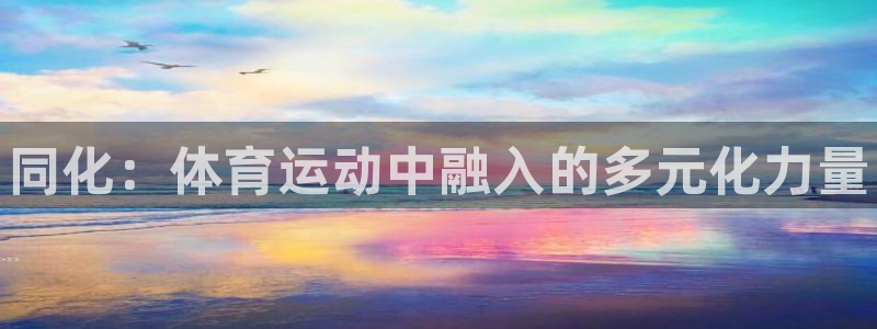 三亿体育登录：同化：体育运动中融入的多元化力量