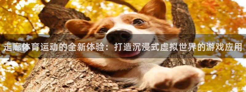 三亿体育：走廊体育运动的全新体验：打造沉浸式虚拟世界的游戏应用