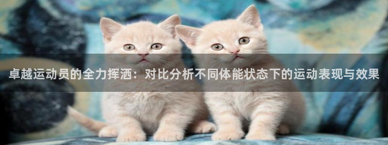 三亿体育登录：卓越运动员的全力挥洒：对比分析不同体能状态下的运动表现与效果