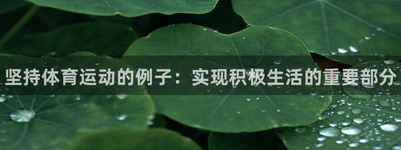 三亿体育登录：坚持体育运动的例子：实现积极生活的重要部分
