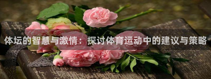 三亿体育网：体坛的智慧与激情：探讨体育运动中的建议与策略