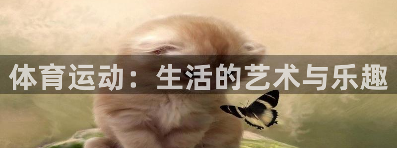 三亿体育网页版：体育运动：生活的艺术与乐趣