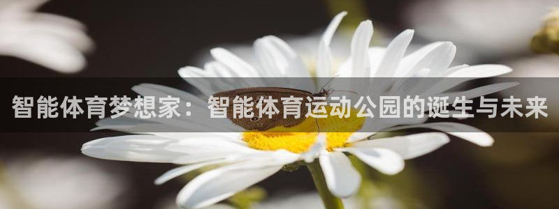 三亿体育：智能体育梦想家：智能体育运动公园的诞生与未来