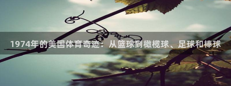 三亿体育登录：1974年的美国体育奇迹：从篮球到橄榄球、足球和棒球