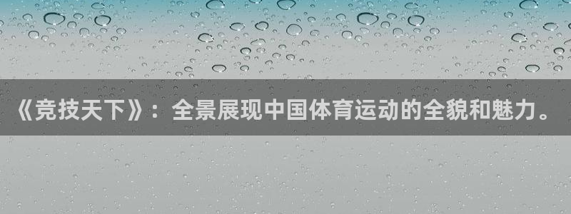 三亿体育登录：《竞技天下》：全景展现中国体育运动的全貌和魅力。