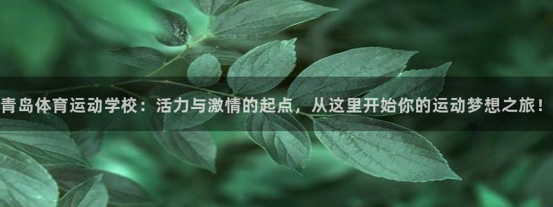 三亿体育：青岛体育运动学校：活力与激情的起点，从这里开始你的运动梦想之旅！