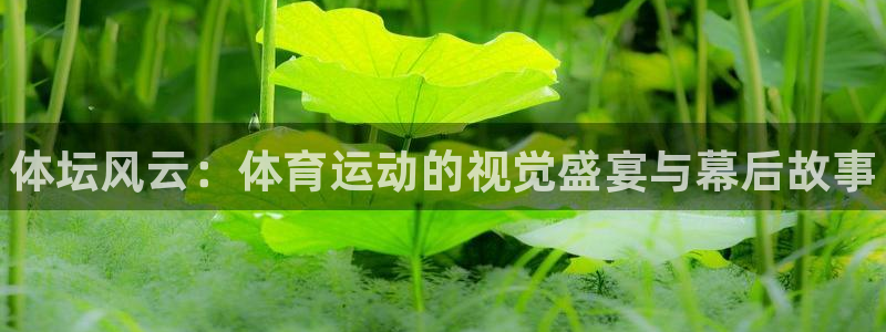 三亿体育网：体坛风云：体育运动的视觉盛宴与幕后故事