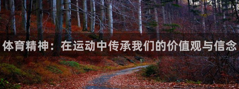三亿体育：体育精神：在运动中传承我们的价值观与信念