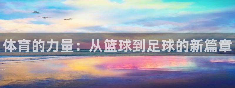 三亿体育：体育的力量：从篮球到足球的新篇章