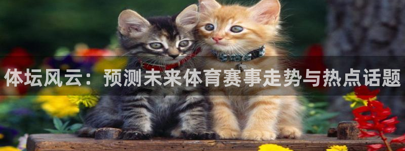 三亿体育网页版：体坛风云：预测未来体育赛事走势与热点话题