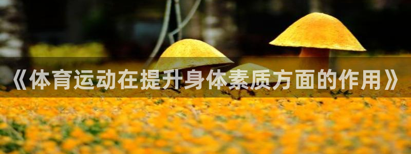 三亿体育网：《体育运动在提升身体素质方面的作用》