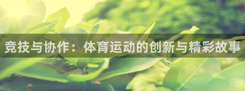 三亿体育：竞技与协作：体育运动的创新与精彩故事
