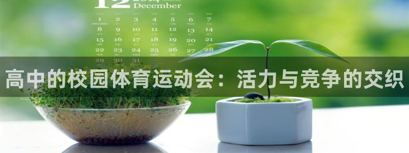 三亿体育网页版：高中的校园体育运动会：活力与竞争的交织