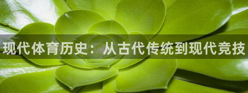 三亿体育登录：现代体育历史：从古代传统到现代竞技