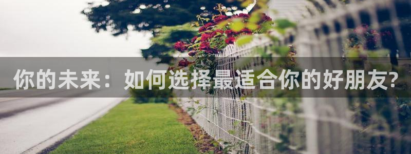 三亿体育：你的未来：如何选择最适合你的好朋友?
