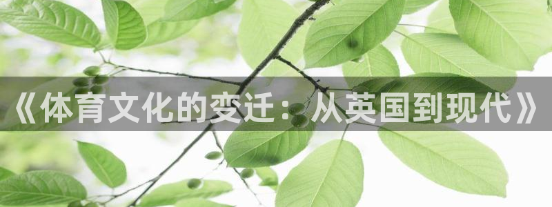 三亿体育网页版：《体育文化的变迁：从英国到现代》