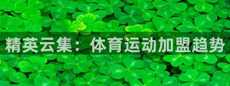 三亿体育登录：精英云集：体育运动加盟趋势