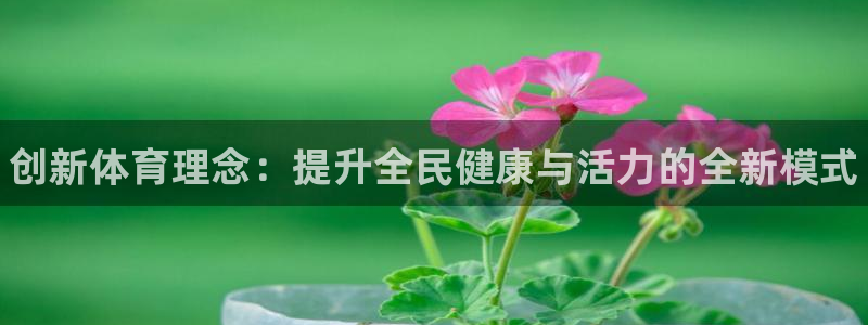 三亿体育：创新体育理念：提升全民健康与活力的全新模式