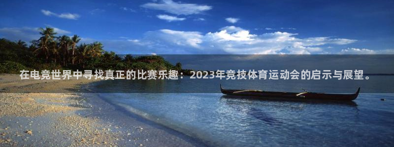 三亿体育网：在电竞世界中寻找真正的比赛乐趣：2023年竞技体育运动会的启示与展望。