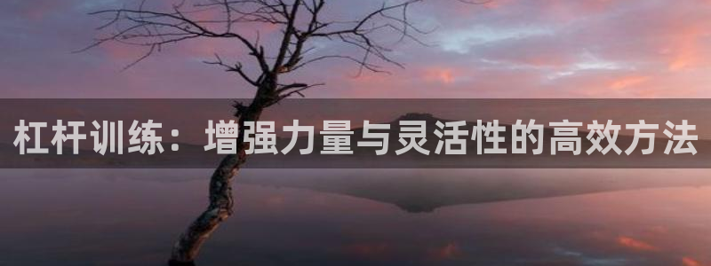 三亿体育网：杠杆训练：增强力量与灵活性的高效方法