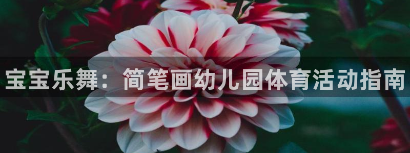 三亿体育网页版：宝宝乐舞：简笔画幼儿园体育活动指南