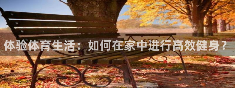 三亿体育网：体验体育生活：如何在家中进行高效健身？