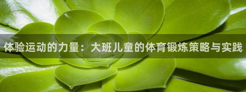 三亿体育网页版：体验运动的力量：大班儿童的体育锻炼策略与实践
