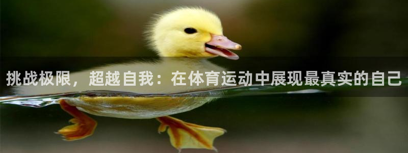 三亿体育网页版：挑战极限，超越自我：在体育运动中展现最真实的自己