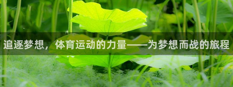 三亿体育登录：追逐梦想，体育运动的力量——为梦想而战的旅程