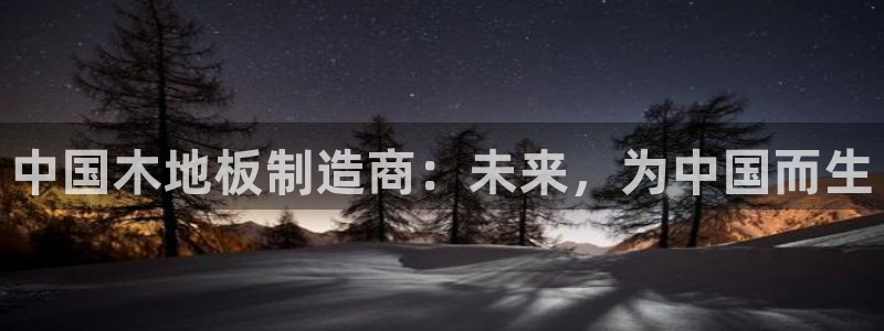 三亿体育网：中国木地板制造商：未来，为中国而生