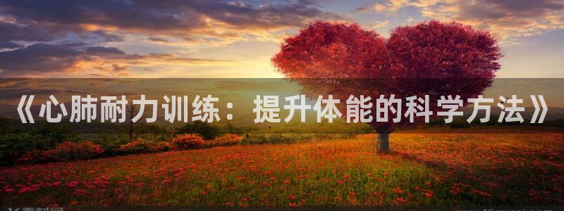 三亿体育网：《心肺耐力训练：提升体能的科学方法》