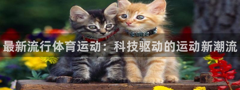 三亿体育：最新流行体育运动：科技驱动的运动新潮流