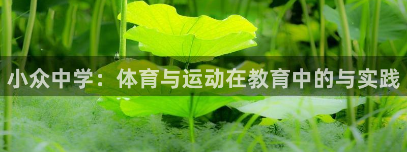 三亿体育网：小众中学：体育与运动在教育中的与实践