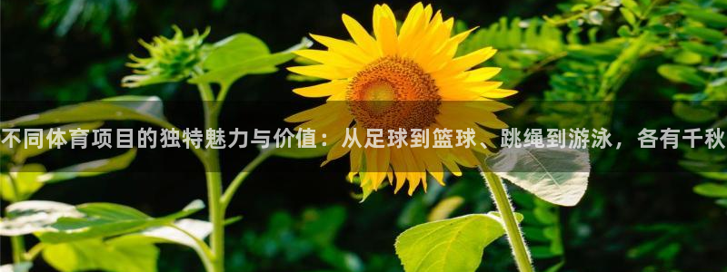 三亿体育网：不同体育项目的独特魅力与价值：从足球到篮球、跳绳到游泳，各有千秋