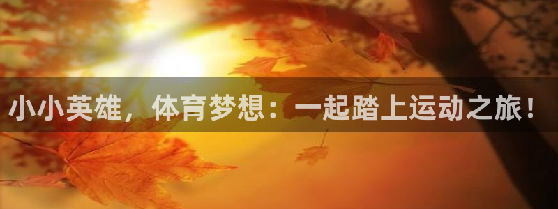 三亿体育：小小英雄，体育梦想：一起踏上运动之旅！