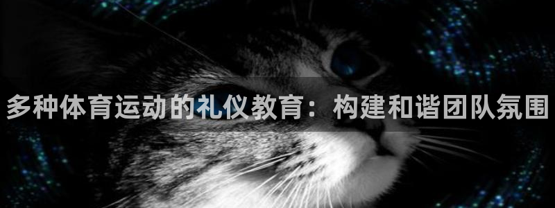 三亿体育：多种体育运动的礼仪教育：构建和谐团队氛围