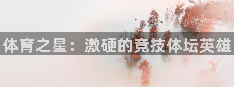 三亿体育网页版：体育之星：激硬的竞技体坛英雄