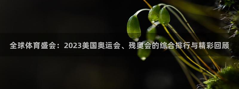 三亿体育网页版：全球体育盛会：2023美国奥运会、残奥会的综合排行与精彩回顾