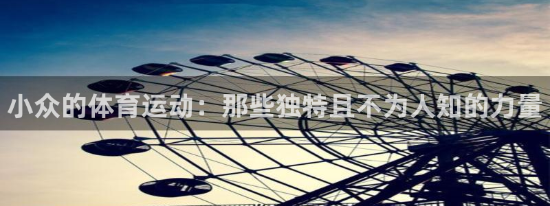 三亿体育网页版：小众的体育运动：那些独特且不为人知的力量